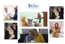 Best Vet in Qatar for Expert and Compassionate Pet Care Services