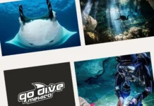 Ultimate Guide to Cenote Diving: Discover the Best Cenotes for an Unforgettable Dive Experience
