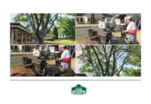Effective Tree Health Management with AirSpade Root Excavation Techniques