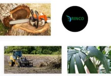 Professional Tree Removal Deer Park Services for Safe and Efficient Property Care
