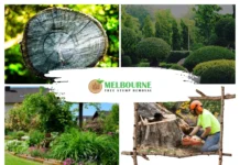 Affordable and Efficient Stump Removal Williamstown Services for Pristine Gardens