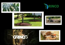 Professional Tree Removal Derrimut Services for Safe and Clean Properties