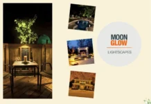 Enhance Your Outdoor Space with Stylish and Durable Path Lighting Solutions