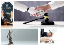 Expert Business Immigration Lawyer USA for Visa and Corporate Immigration Solutions