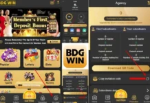 BDG Win apk download: Installation Guide and App Details