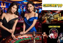 Cricbet99 club: Discover Membership Features and Platform Benefits