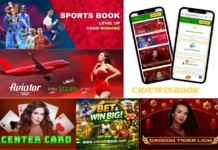 Cricwin Betting: Secure Online Cricket Betting Platform for Sports Users