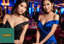 Cric99 vs Cricbet99m: Key Platform Features, Payments, and Cricket Betting Options