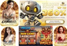 Padu33 – INFO