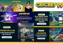 Cricbet99 win login: Account Access Guide and Platform Information