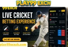 play99: Platform information updates and helpful resources