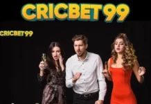 Essential Checklist for Maximizing Your Success with Cricbet99 Win Platform