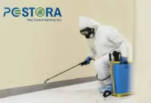 Get fast assistance through Pest control near me Dubai experts