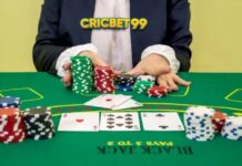 Criccbet99 Login: Secure Access You Can Trust for a Smooth Betting Experience