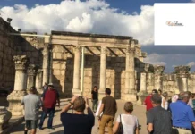 Haifa Bahai Gardens Israel: Holy Land VIP Tours Guide to the Terraced UNESCO Site