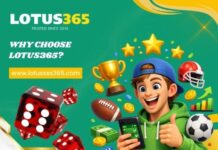 Lotus365 Login: Step-by-Step Access for a Secure Casino Account on Lotussss365