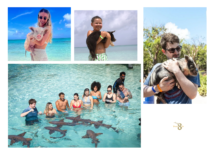 Atlantis Bahamas Excursions | Piecesof8tours.com
