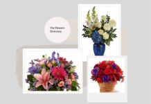 Same Day Flowers Delivered: Buyer’s Guide to Choices